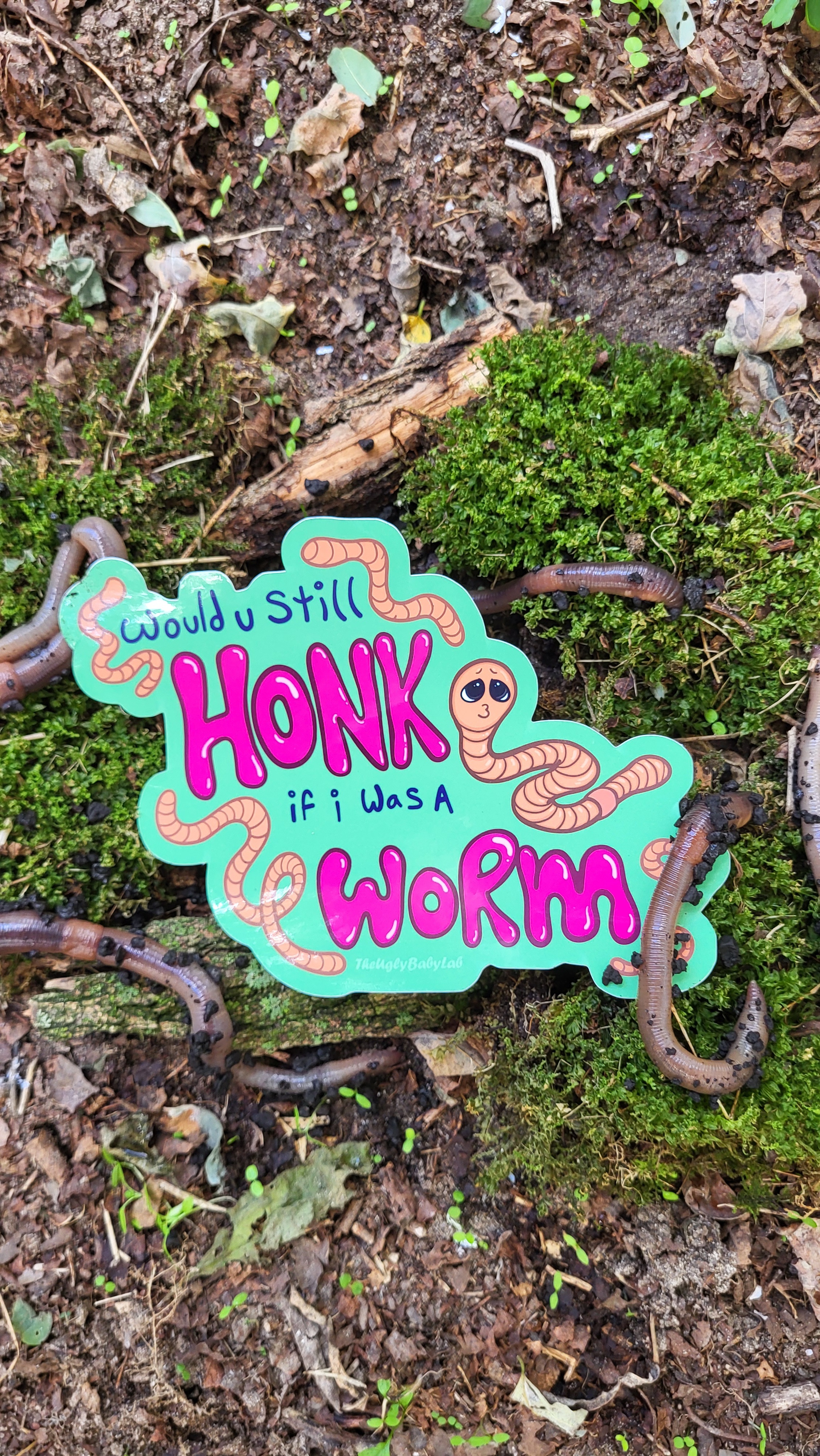 Would You Still Honk if I was a Worm? Bumper Sticker